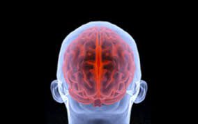 Blast wave injury evidence found in Australian soldier’s brain